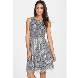 Eliza J Nordstrom Lace Fit & Flare Belted Dress